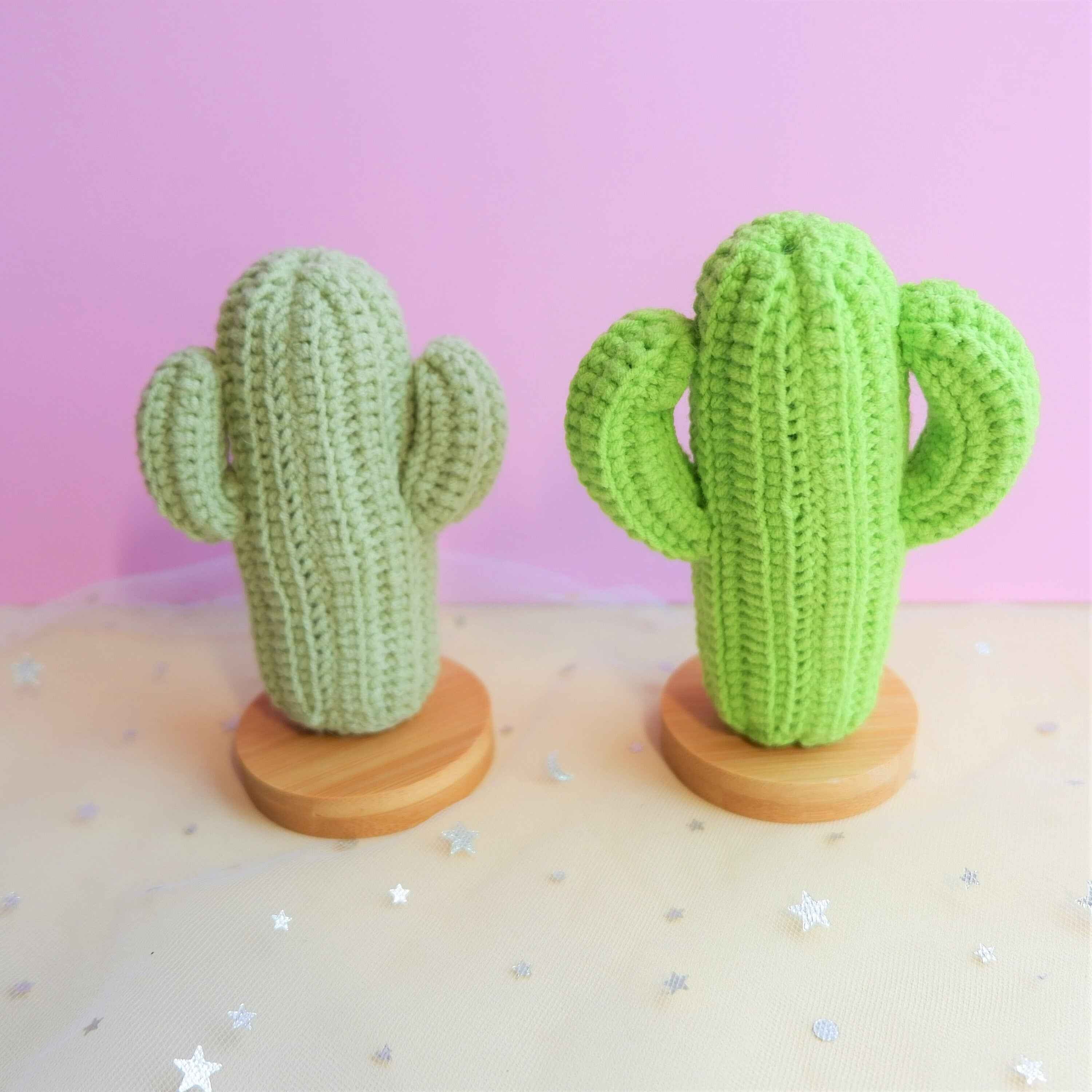 Crochet Car Dashboard Decor- Cactus