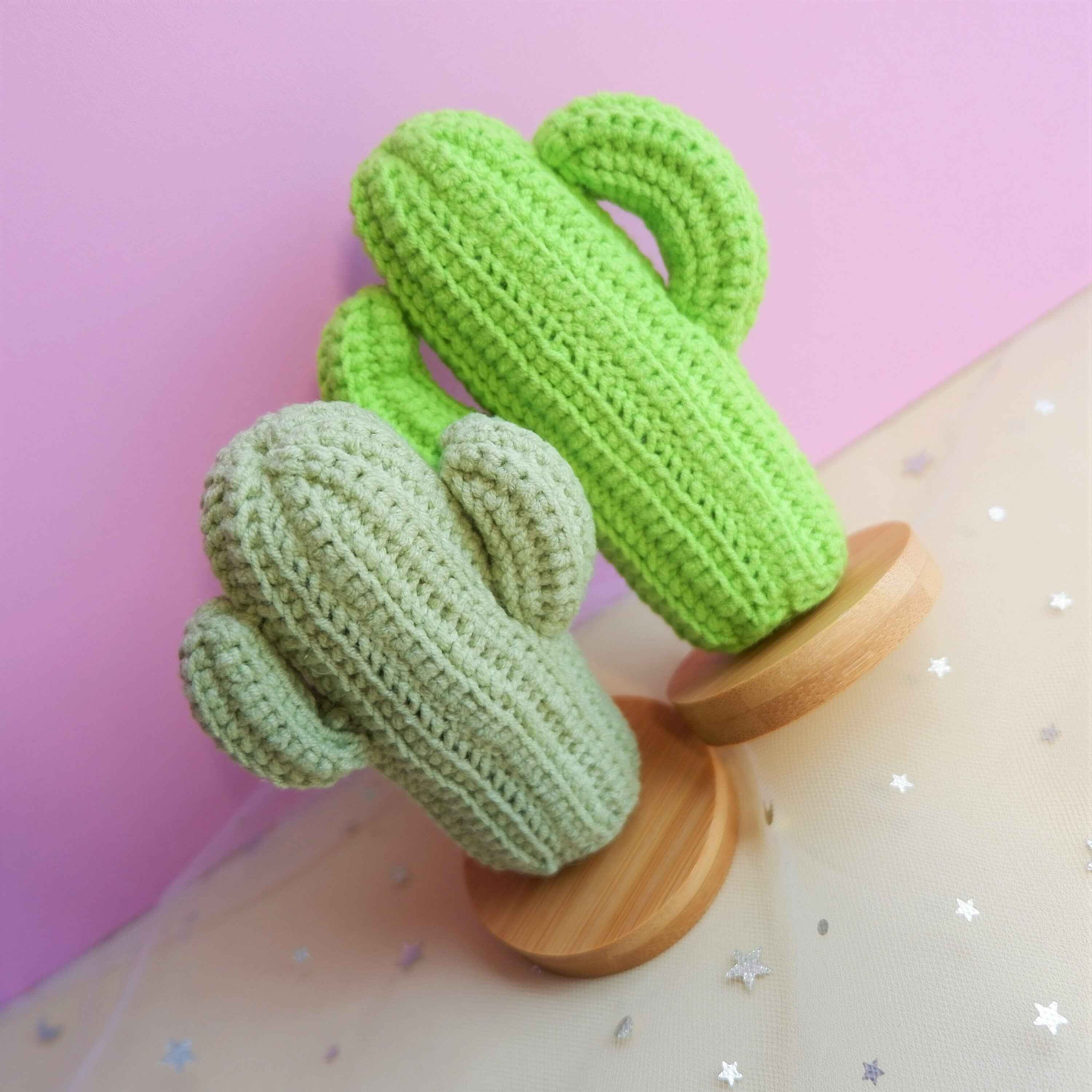 Crochet Car Dashboard Decor- Cactus