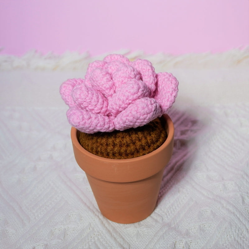 Crochet Potted Plants, Mini Succulents Car Dashboard Decor, Kawaii Car Accessory for Women, Work from Home Gift, Office Desk Accessories