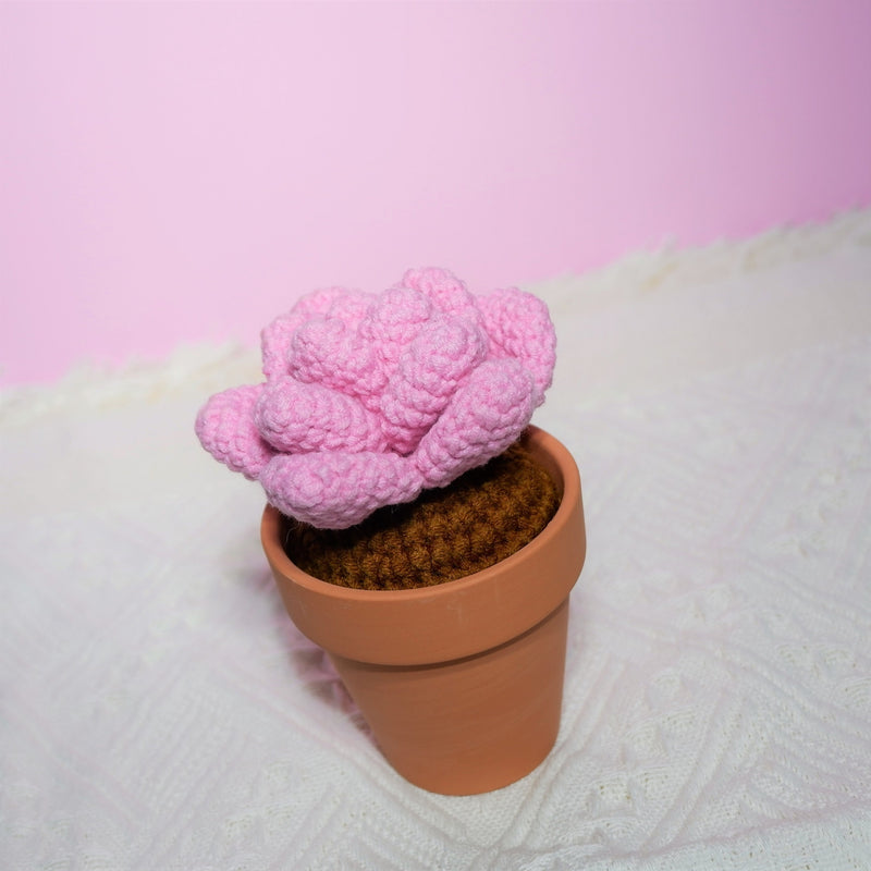 Crochet Potted Plants, Mini Succulents Car Dashboard Decor, Kawaii Car Accessory for Women, Work from Home Gift, Office Desk Accessories